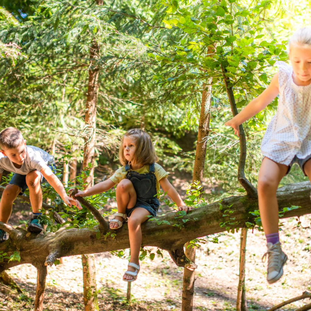 Kinder im Wald